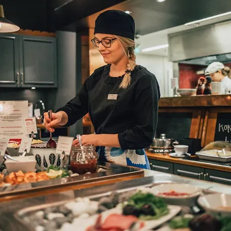 酒店 原始索克斯瓦库纳塞纳杰克酒店 Seinäjoki